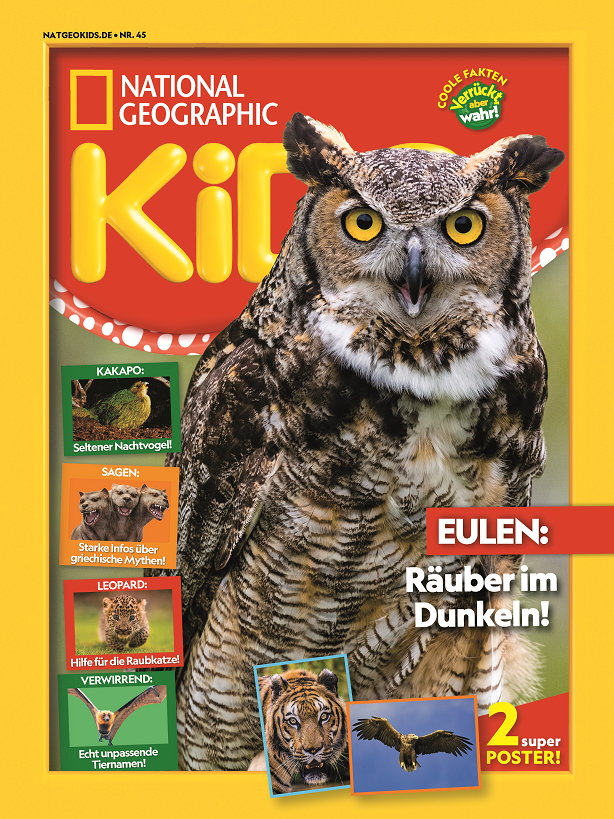 Blue Ocean Entertainment: Das offizielle Magazin!