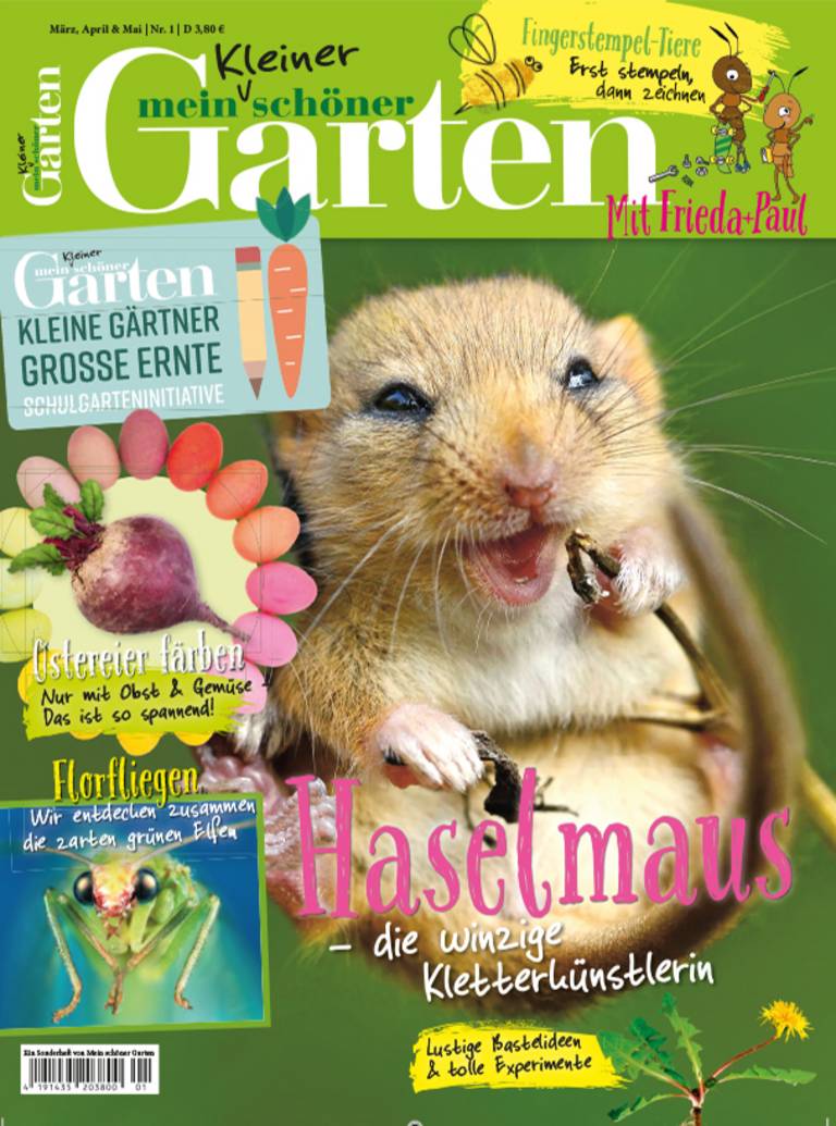Blue Ocean Entertainment mein kleiner schöner Garten Das Mitmach